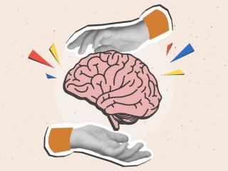 brain