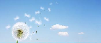 wind