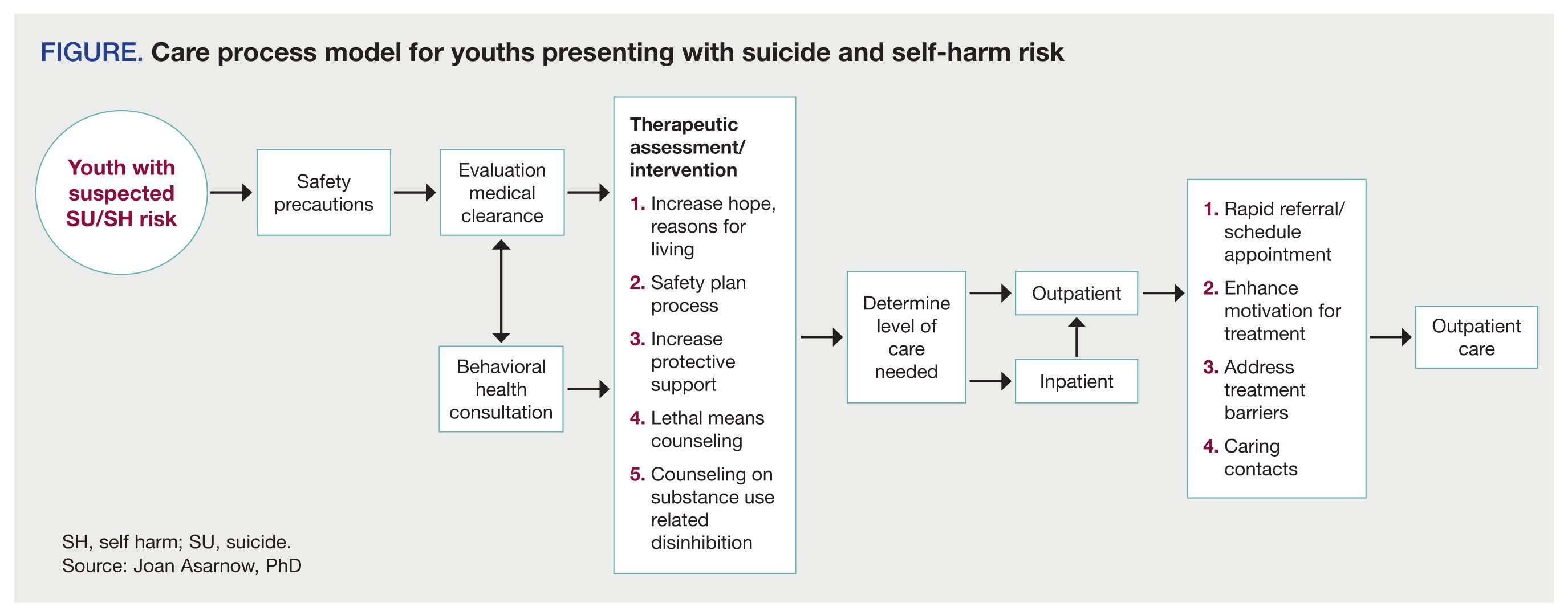 Care process model for youths presenting with suicide and self-harm risk