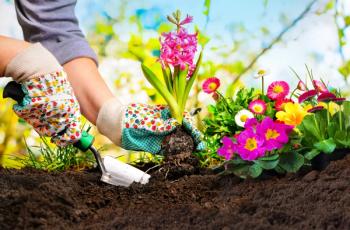 garden tools