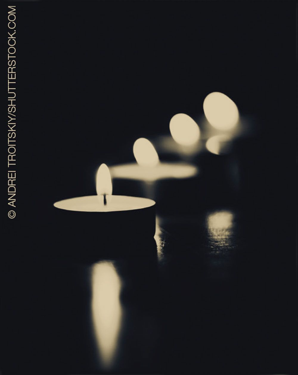 © ANDREI TROITSKIY/SHUTTERSTOCK.COM