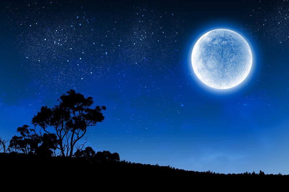 sleep-wake cycle