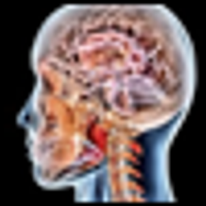 How Psychotherapy Changes the Brain
