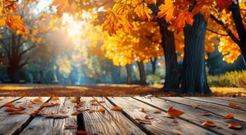 autumn