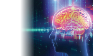 neuropsychiatry and neuroscience