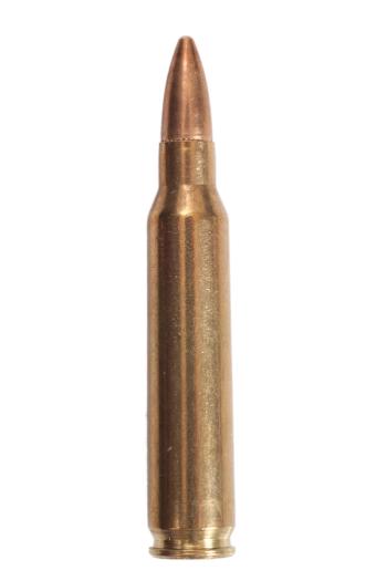 ©Militarist/Shutterstock.com