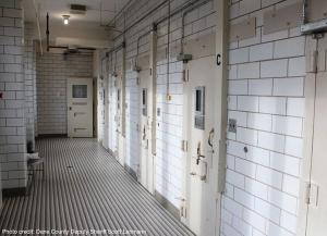 dismantling and closure of the federal and state mental hospitals