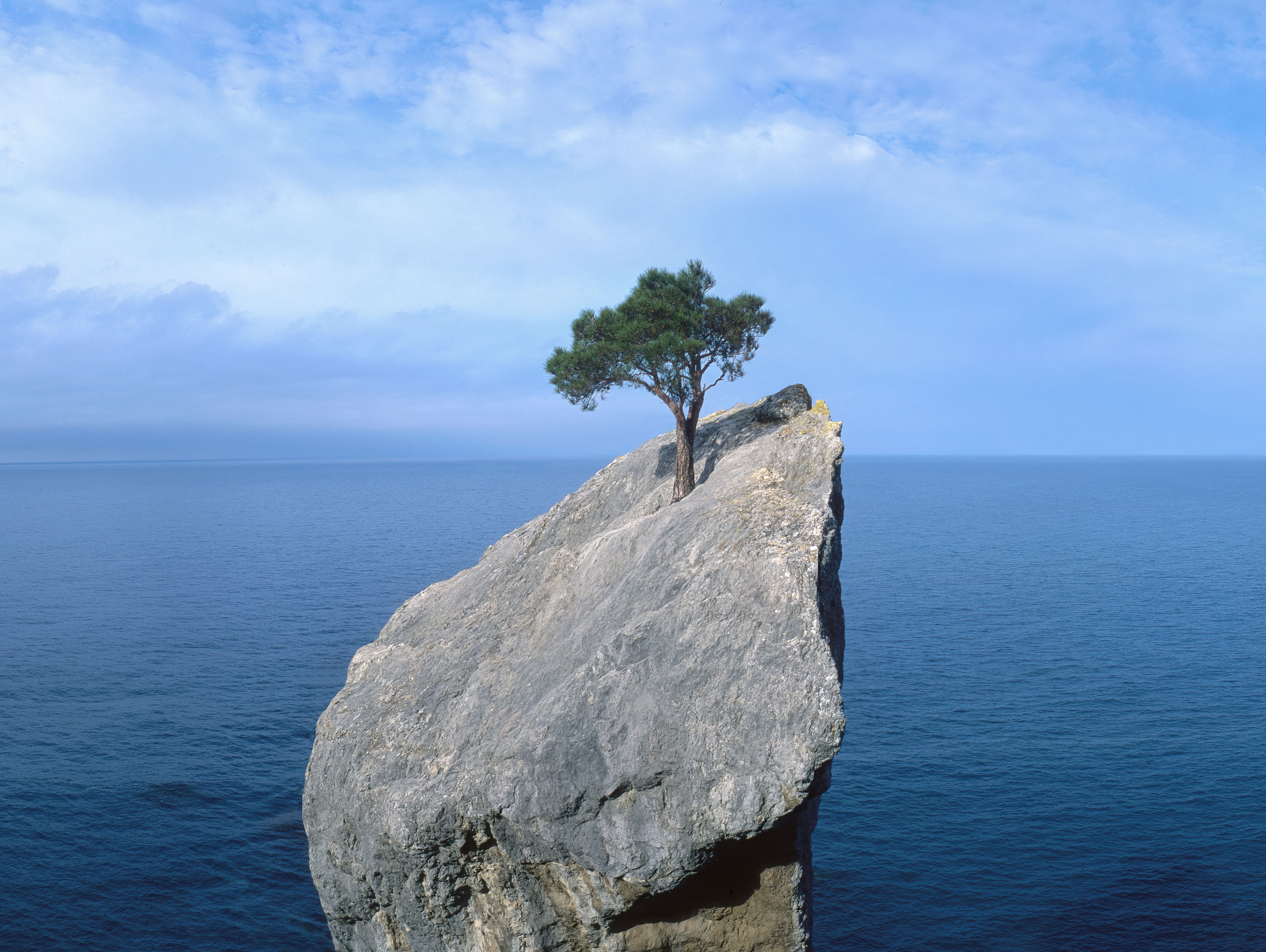 resilience