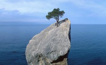 resilience