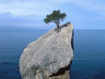 resilience