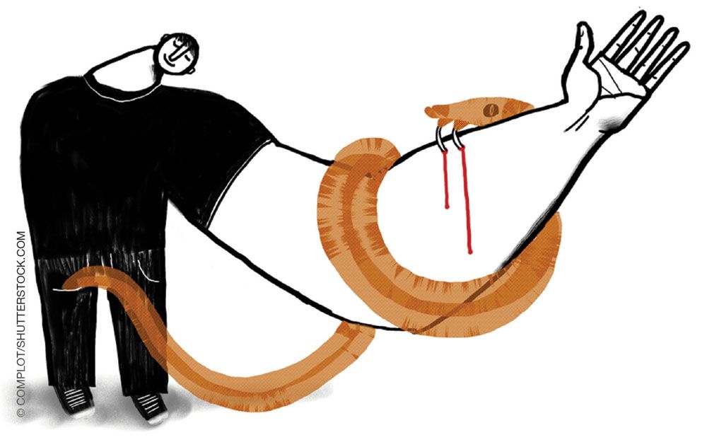 © Complot/shutterstock.com