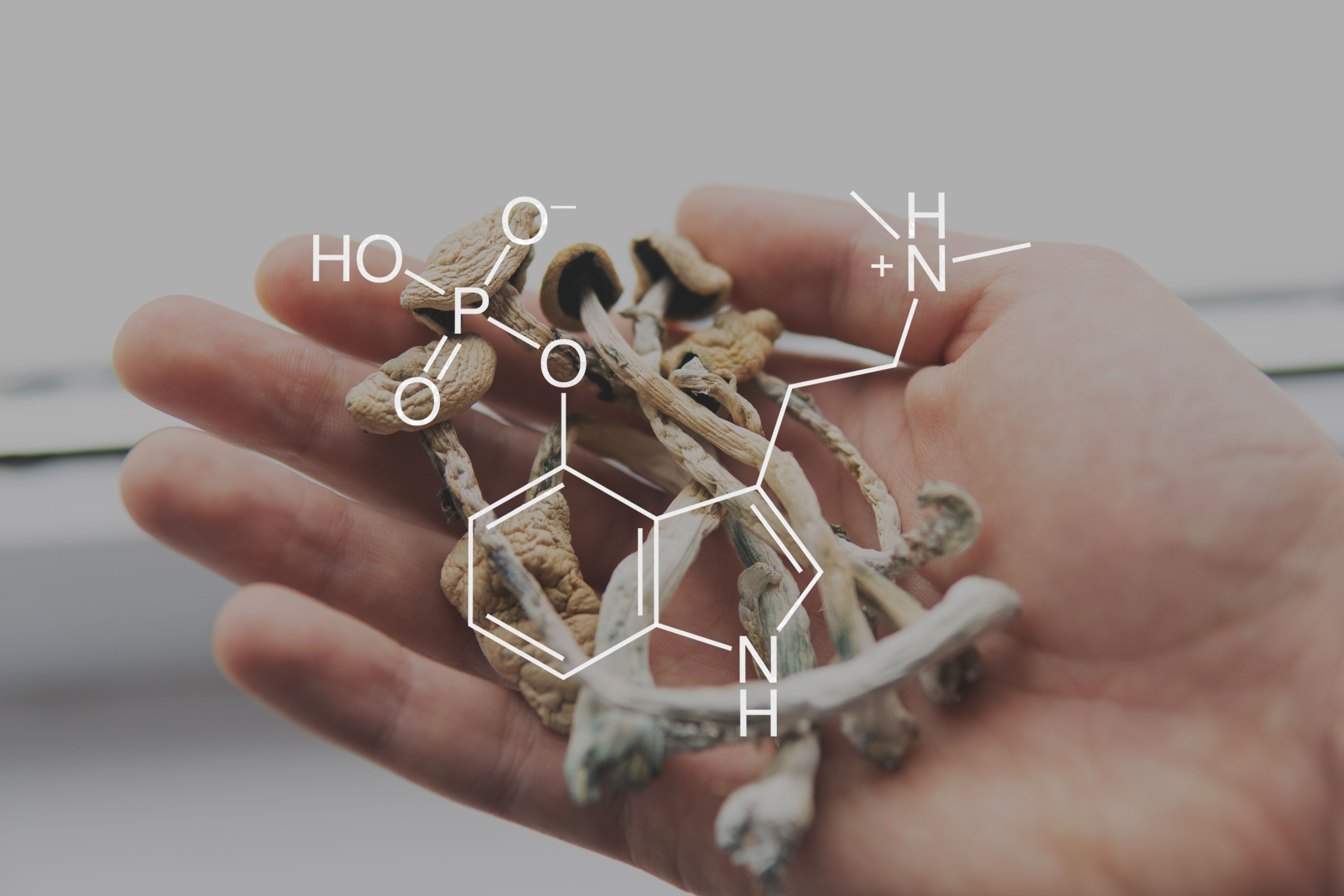 psilocybin