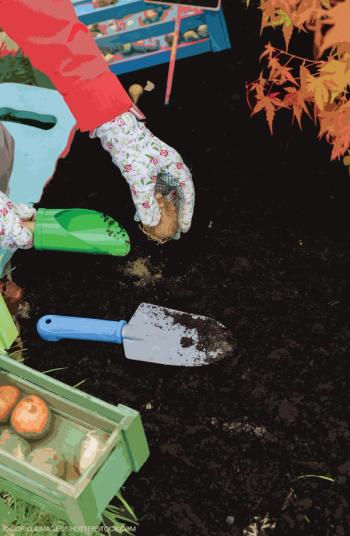 © gorillaimages/shutterstock.com