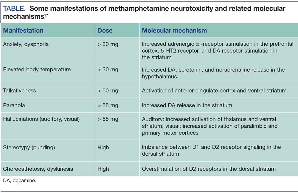 manifestations of methamphetamine neurotoxicity and related molecular mechanisms