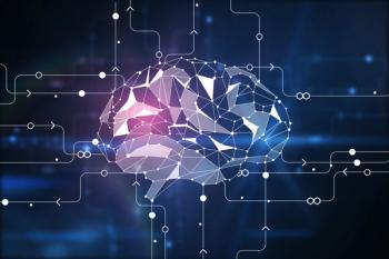 brain circuit