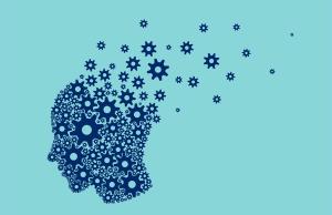 "It is amazing how much we know about the magnificent brain—and how much we have yet to learn."