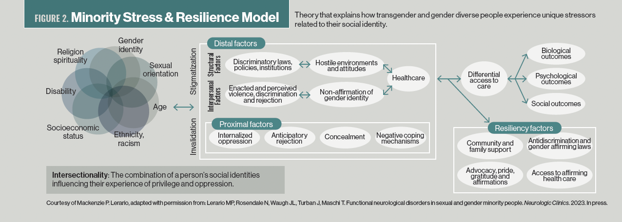 Figure 2. Minority Stress & Resilience Model