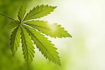 cannabis