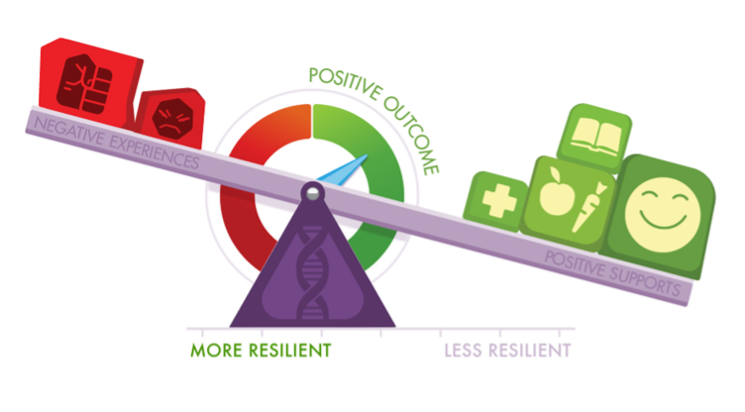 Figure 1. The Resilience Scale Metaphor