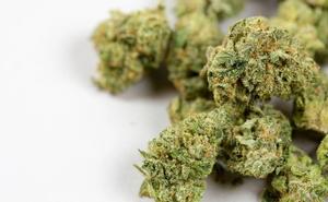 Reframing the Description of Cannabis