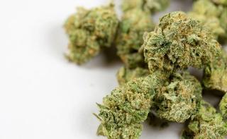 Reframing the Description of Cannabis
