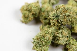 Reframing the Description of Cannabis