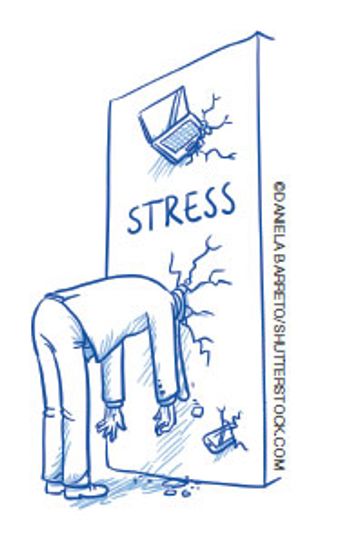 ©Daniela Barreto/shutterstock.com