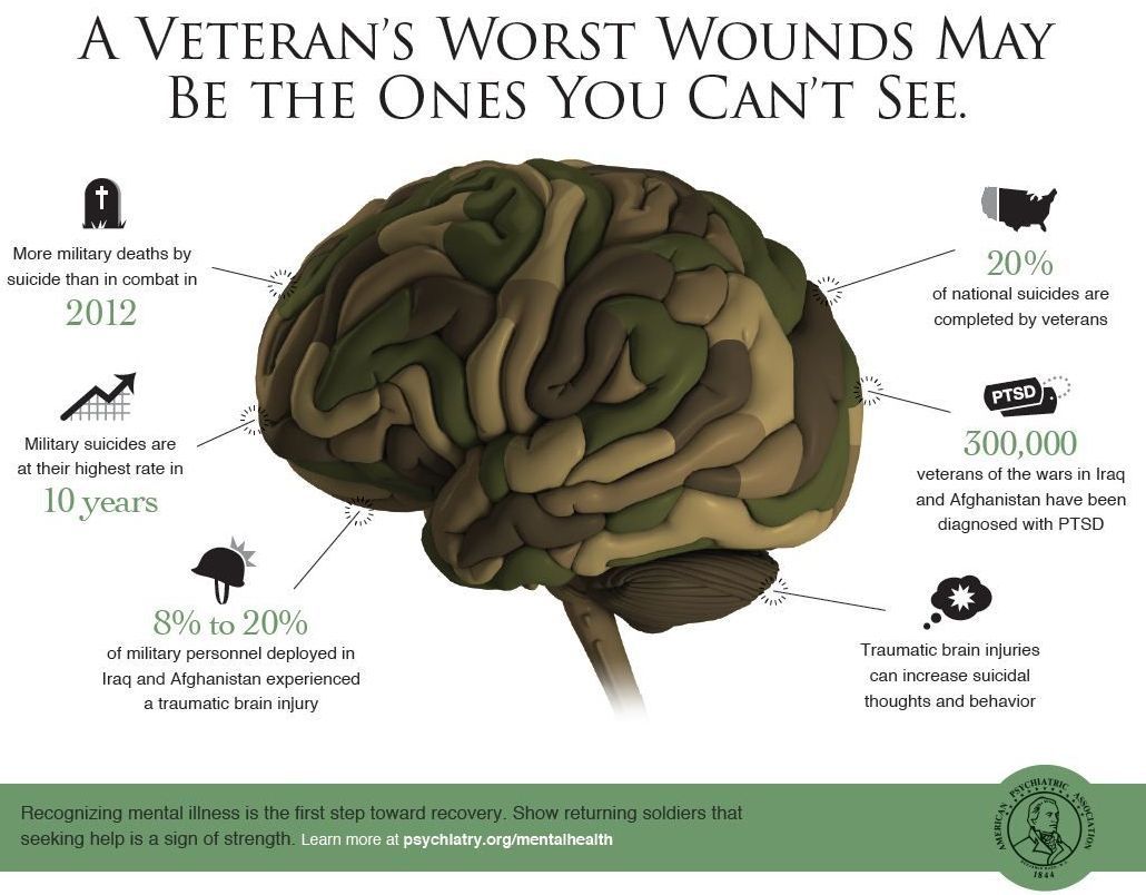 Veterans Day and Military Mental Health The Startling Facts