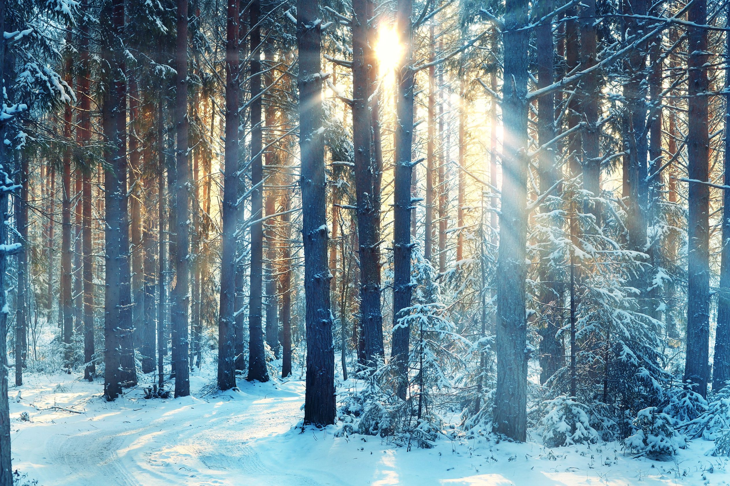 The Contest of the Confluence of Hanukkah and the Solstice: An Epilogue With Clinical Implications