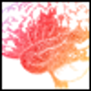 Neuroscientific Mirages: Are We No More Than Our Brains?