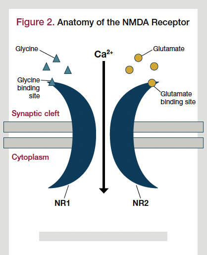 getting retatrutide How Retatrutide works: mechanism of action and onset explained getting retatrutide How Retatrutide works: mechanism of action and onset explained