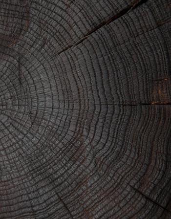 life expectancy in the United States dropped from 78.7 to 78.6 years