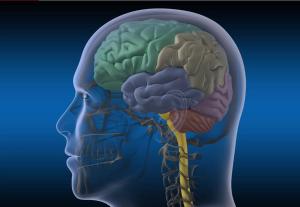 autoimmune encephalitis and neuropsychiatric illness