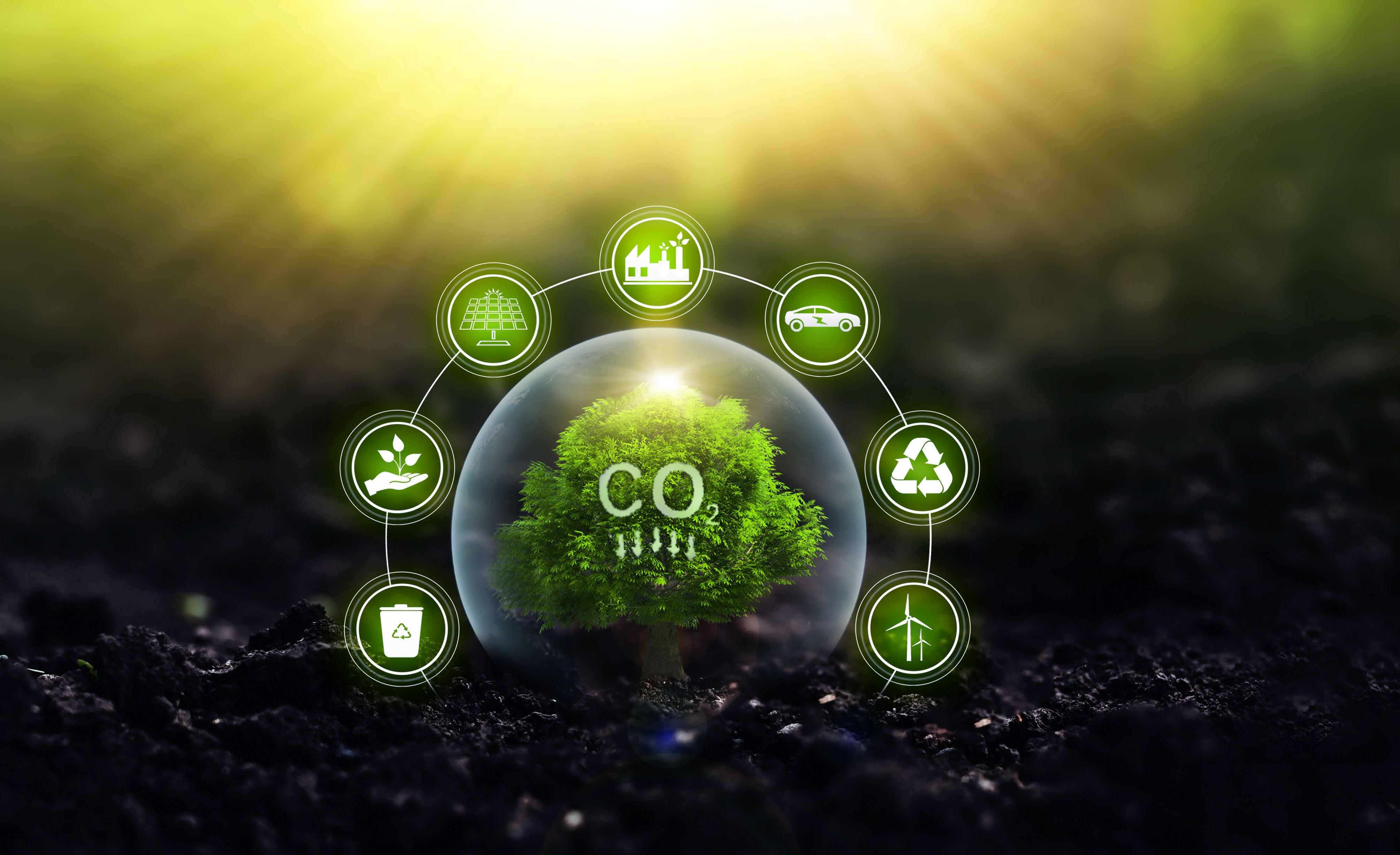carbon footprint