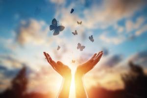 hope springs eternal