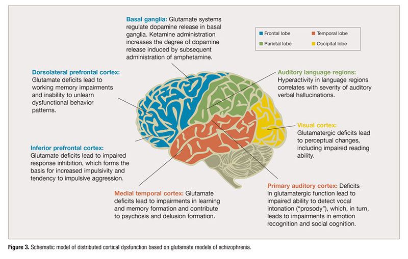 Glutamate and Schizophrenia: From Theory to Treatment Implications | Psychiatric Times Glutamate and Schizophrenia: From Theory to Treatment Implications | Psychiatric Times