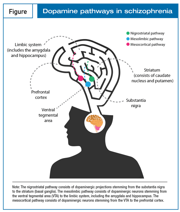 Understanding The Neurobiological Basis Of Drug Abuse: Comorbidity In ...