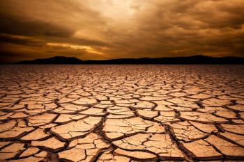 desert