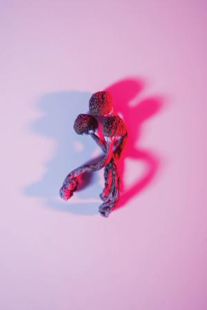 Psychedelics and the Future of Psychiatry