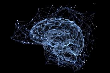 New research may help enhance our understanding of the human brain.