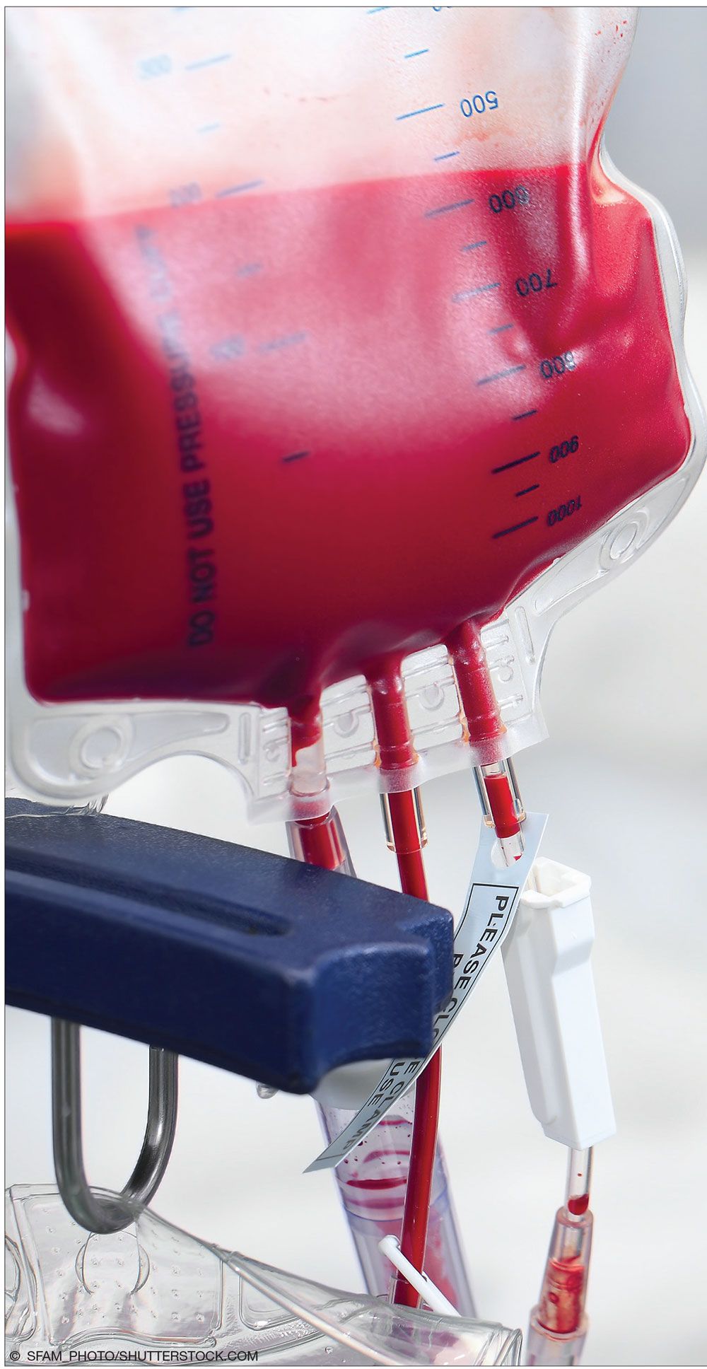 © SFAM_PHOTO/SHUTTERSTOCK.COM