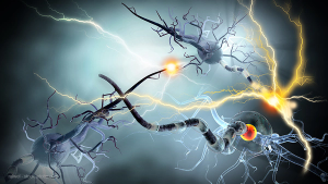 Dysregulation of Brain Processing in Anorexia Nervosa
