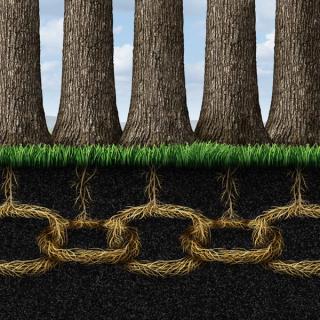 The Life Thing In Us