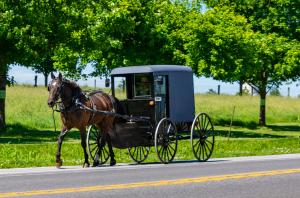 Keep the Cart Behind the Horse: Privilege and Responsibility as a Provider