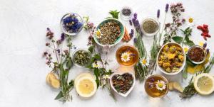 Herbal Medicine: What Psychiatrists Need to Know