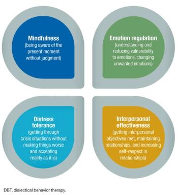 DBT skills training: 4 sets of primary skills