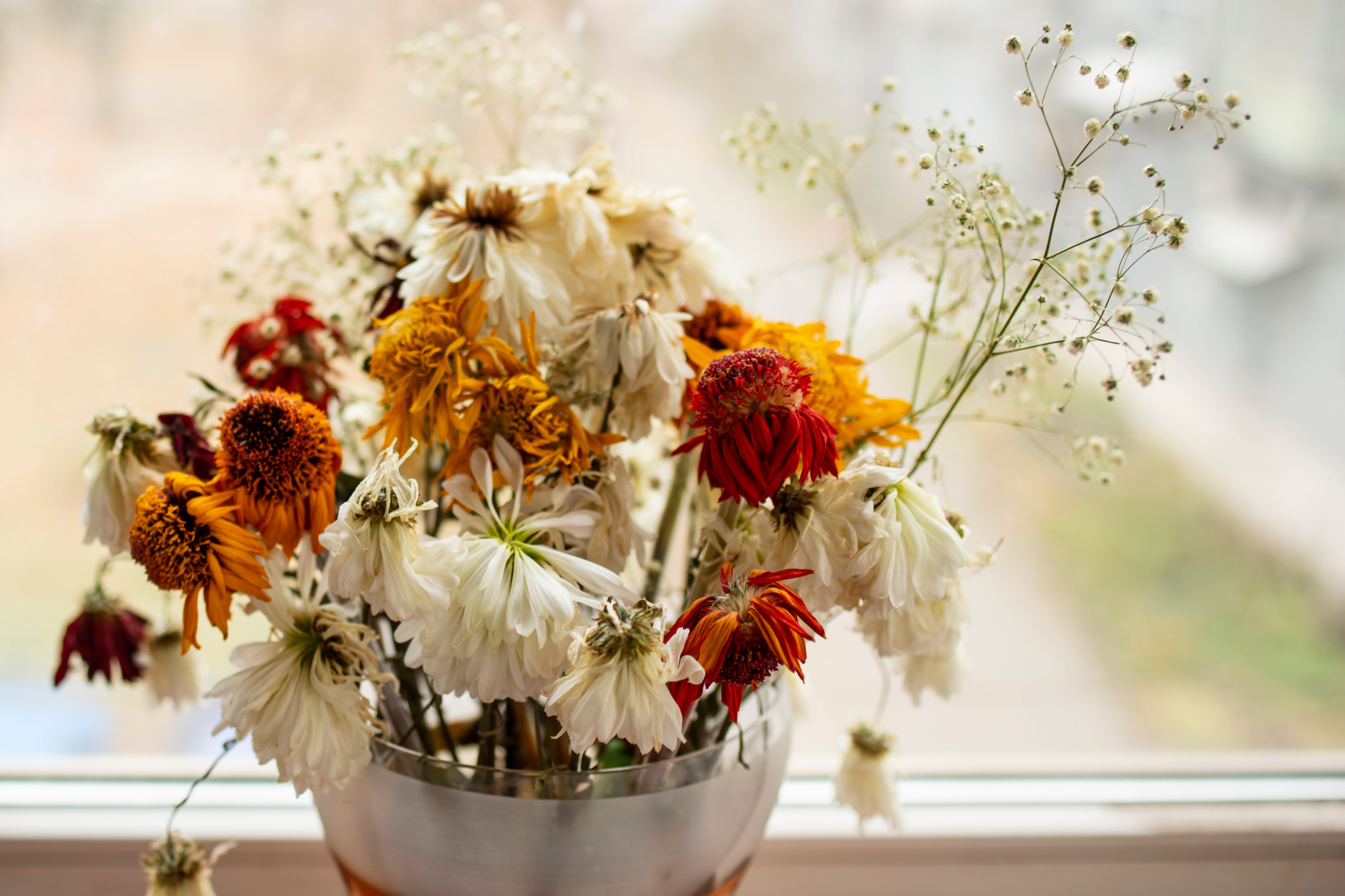 wilted flowers