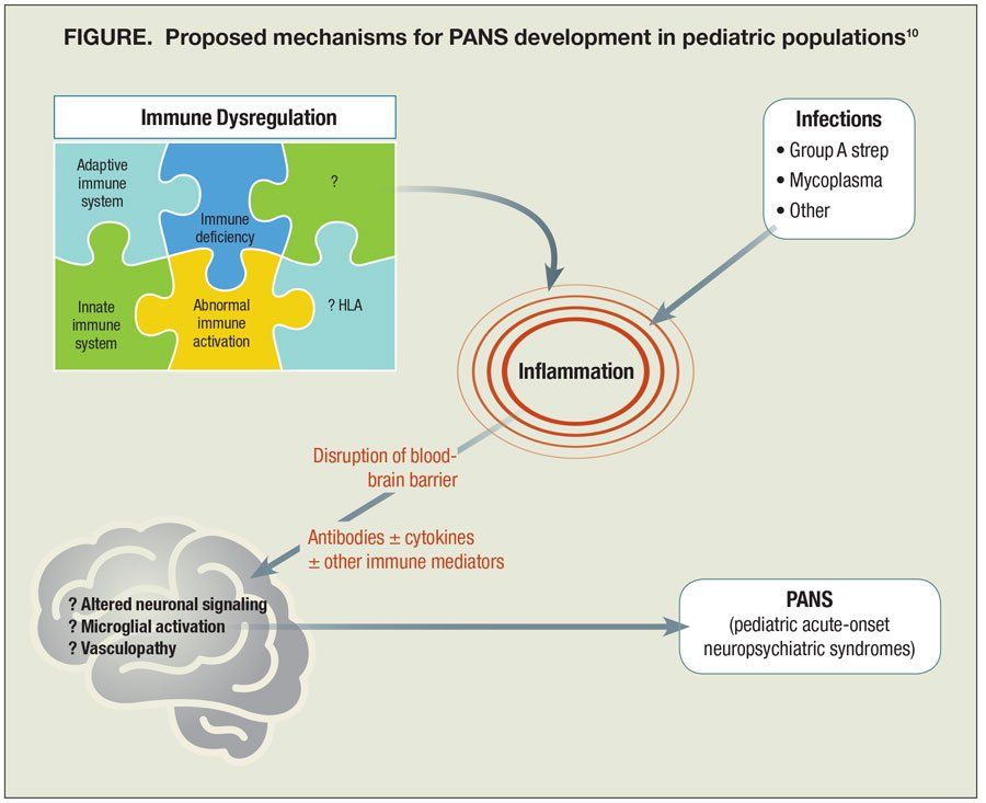 Proposed mechanisms for PANS development in pediatric populations