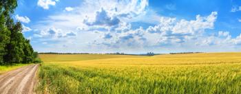 country road