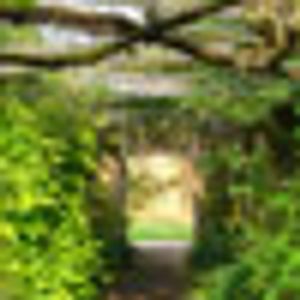 5 Key Fantasies Embraced by DSM